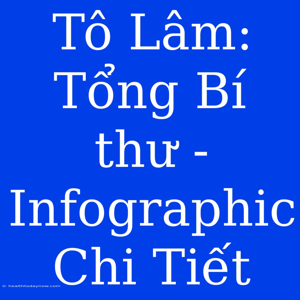 Tô Lâm: Tổng Bí Thư - Infographic Chi Tiết