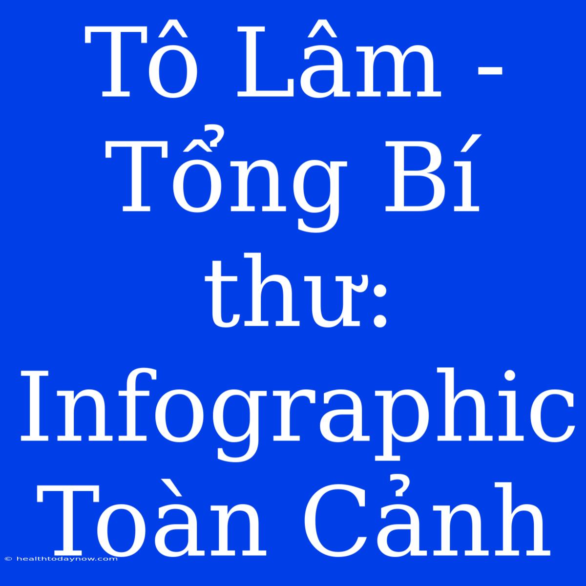 Tô Lâm - Tổng Bí Thư: Infographic Toàn Cảnh