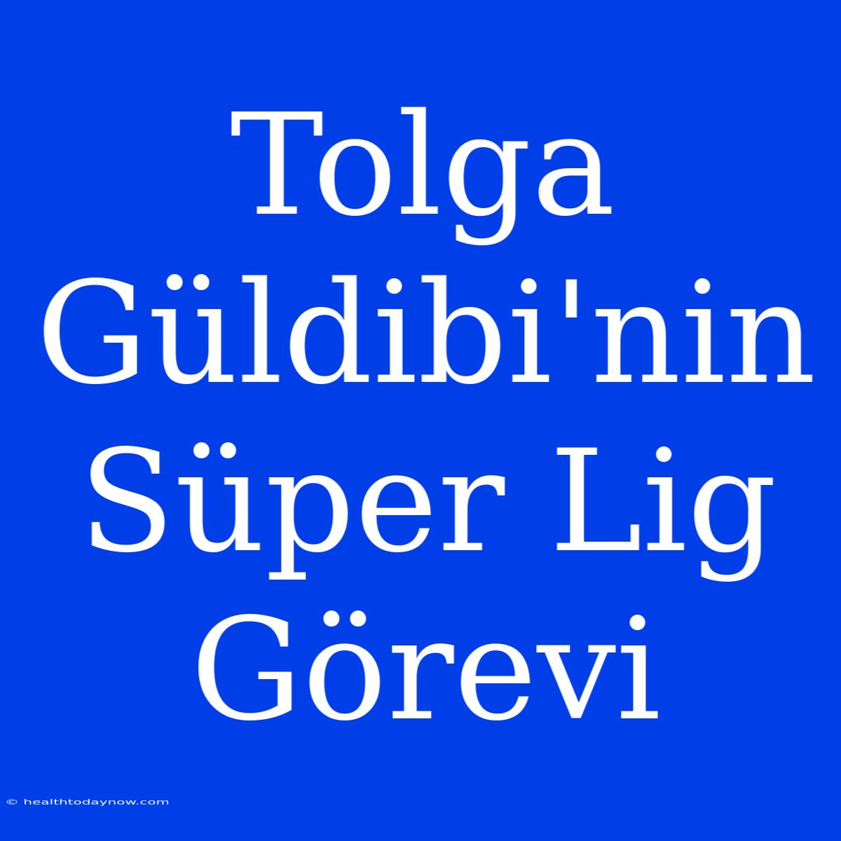 Tolga Güldibi'nin Süper Lig Görevi