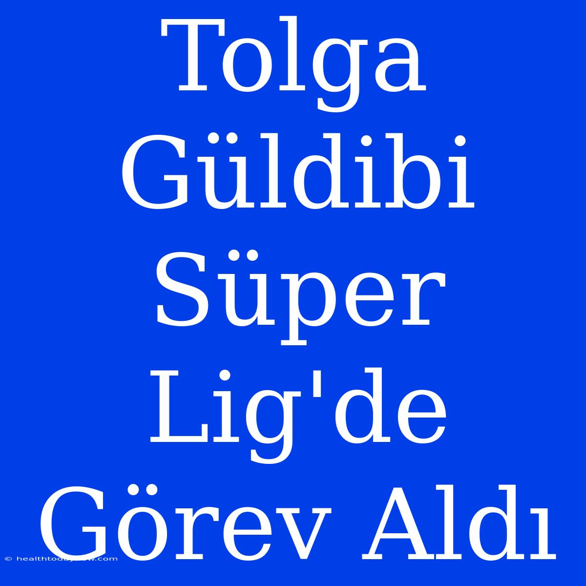 Tolga Güldibi Süper Lig'de Görev Aldı