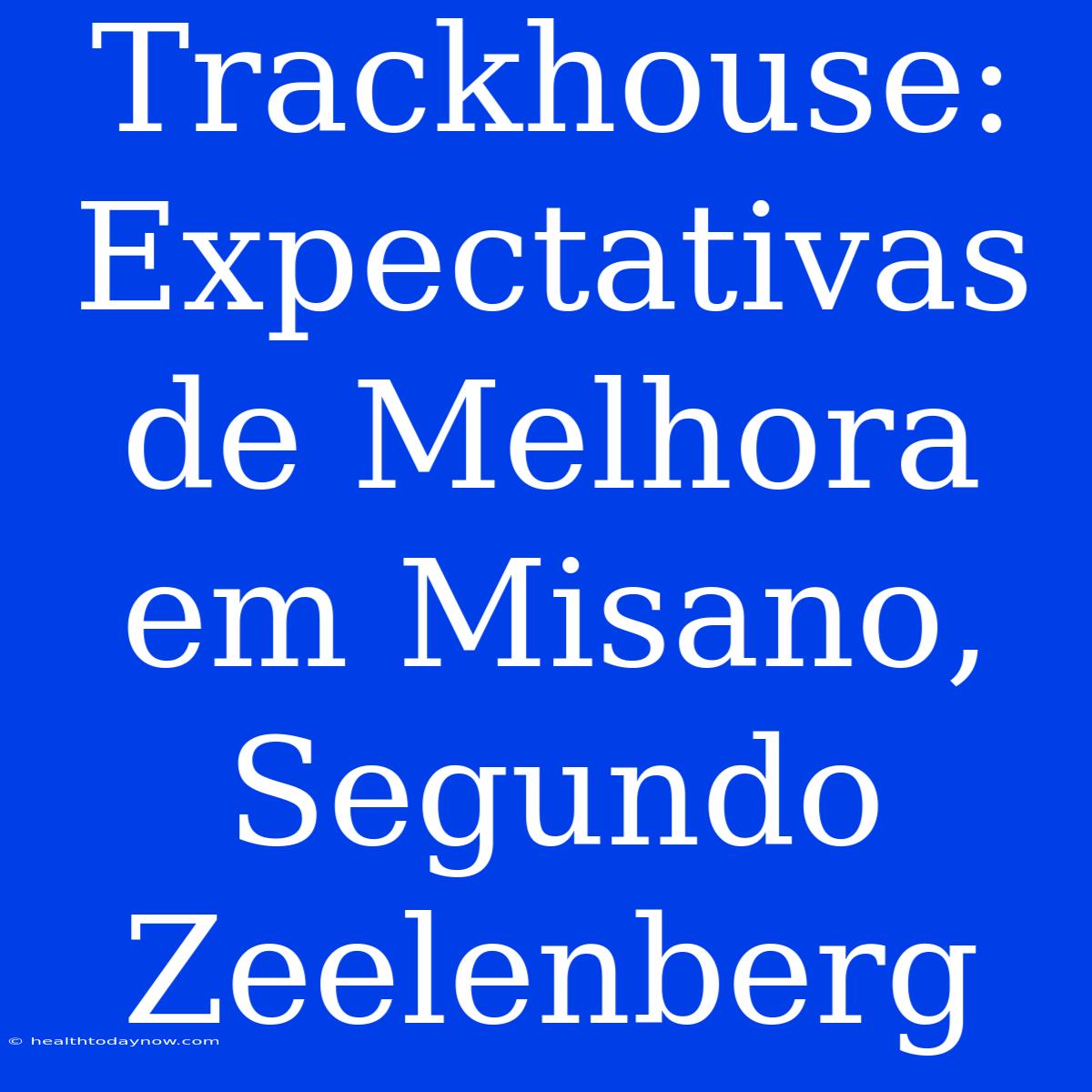 Trackhouse: Expectativas De Melhora Em Misano, Segundo Zeelenberg