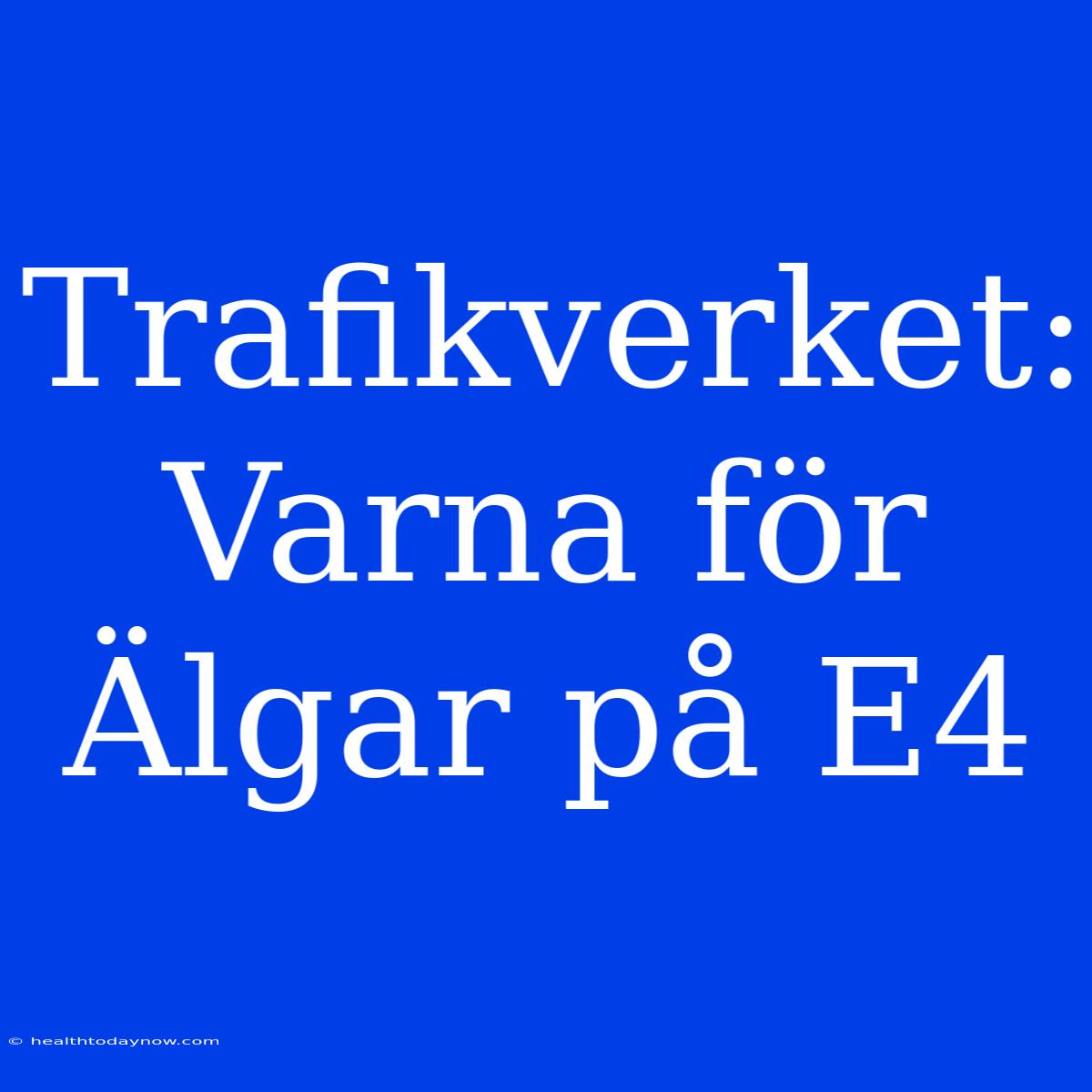 Trafikverket: Varna För Älgar På E4