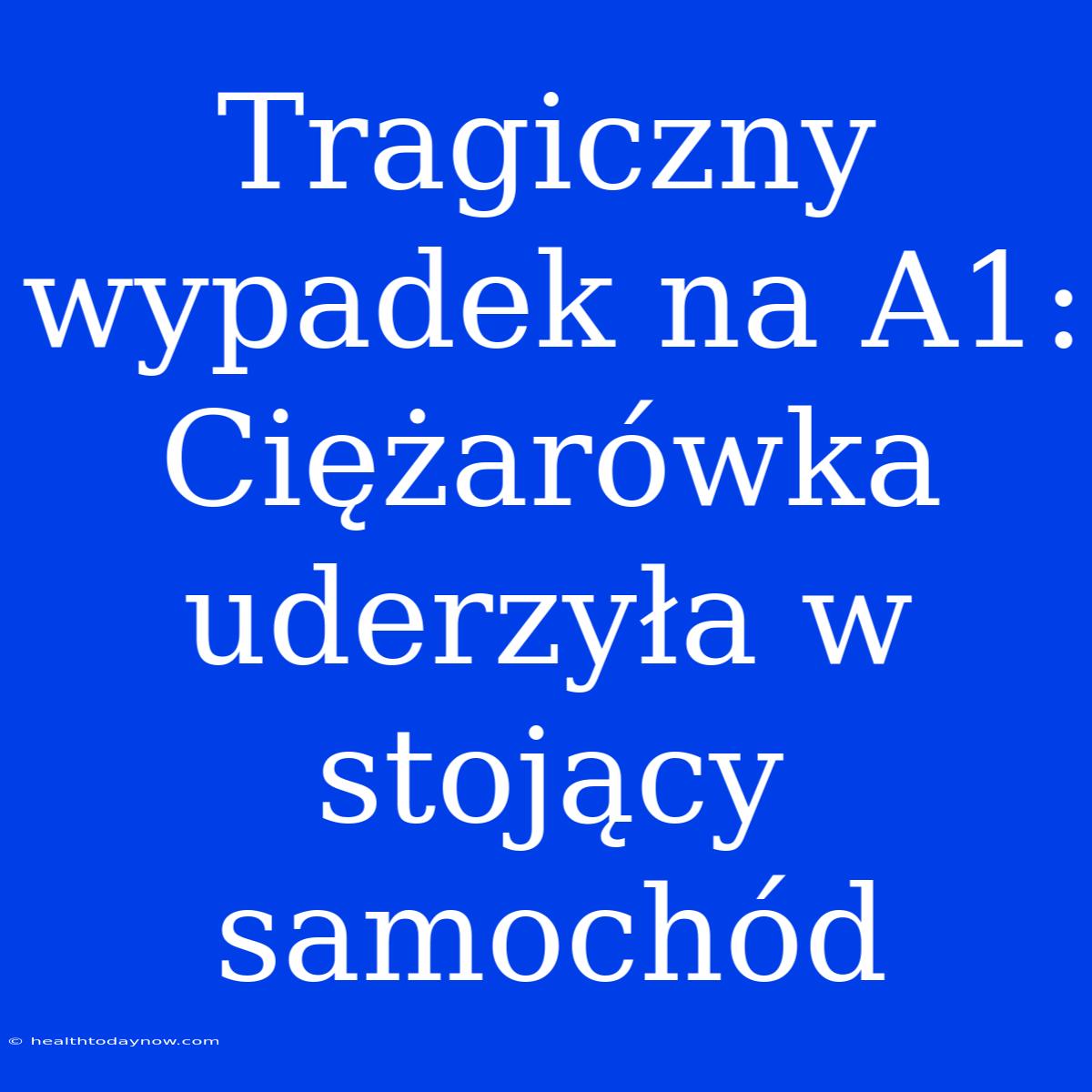 Tragiczny Wypadek Na A1: Ciężarówka Uderzyła W Stojący Samochód