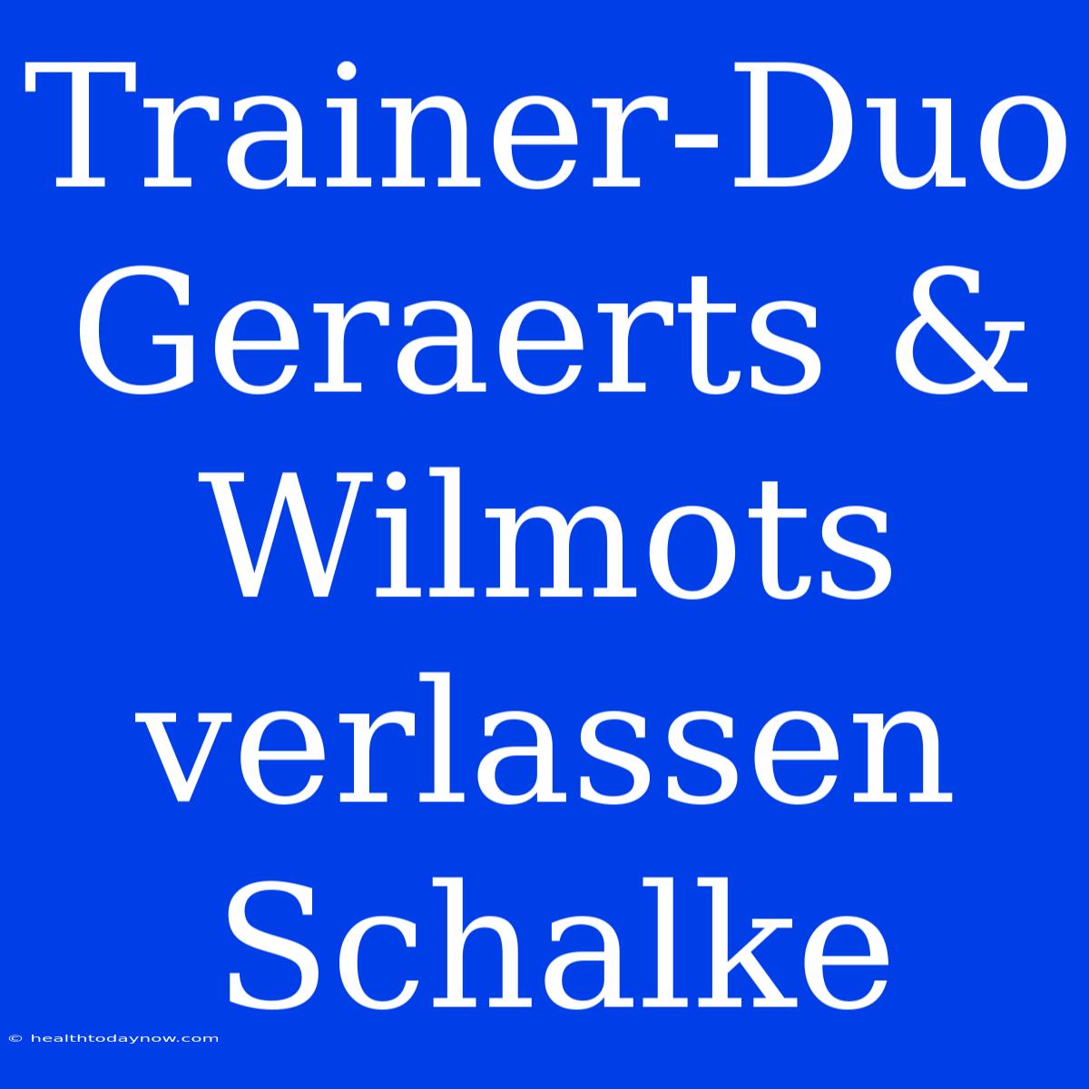 Trainer-Duo Geraerts & Wilmots Verlassen Schalke