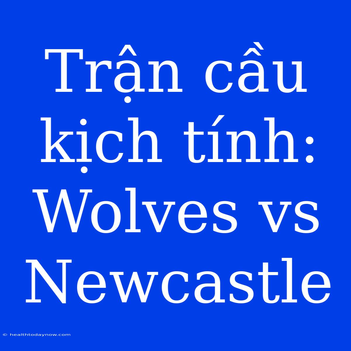 Trận Cầu Kịch Tính: Wolves Vs Newcastle