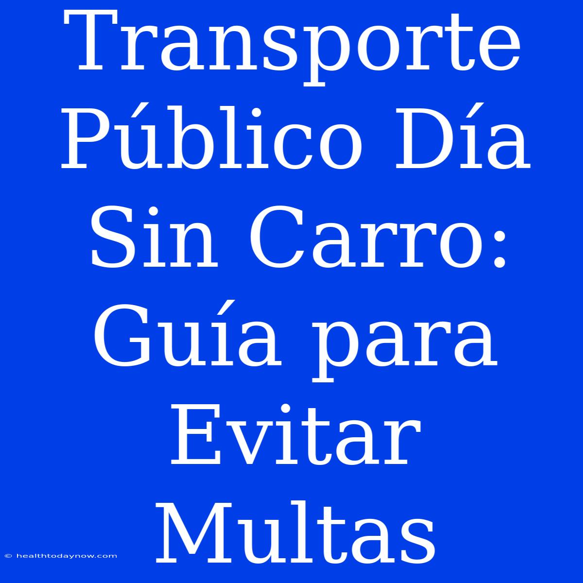 Transporte Público Día Sin Carro: Guía Para Evitar Multas