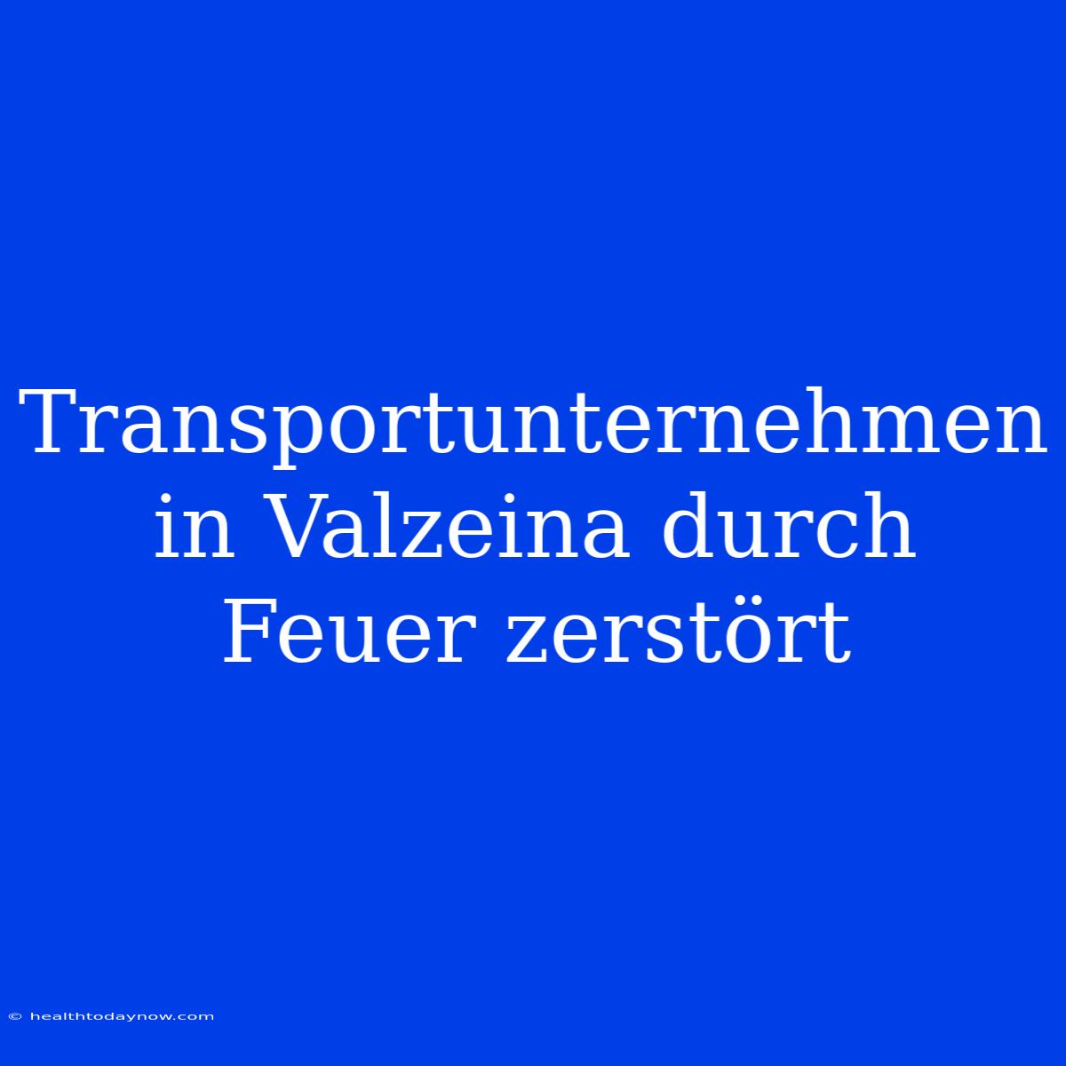 Transportunternehmen In Valzeina Durch Feuer Zerstört 