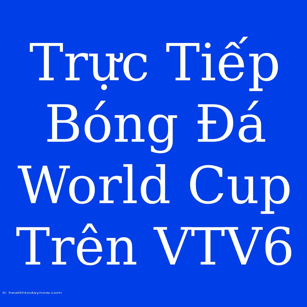 Trực Tiếp Bóng Đá World Cup Trên VTV6