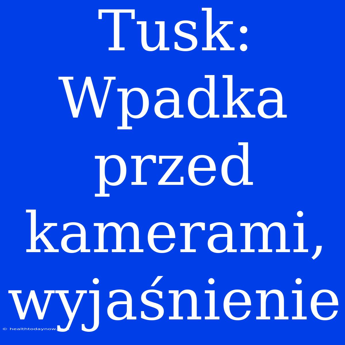 Tusk: Wpadka Przed Kamerami, Wyjaśnienie