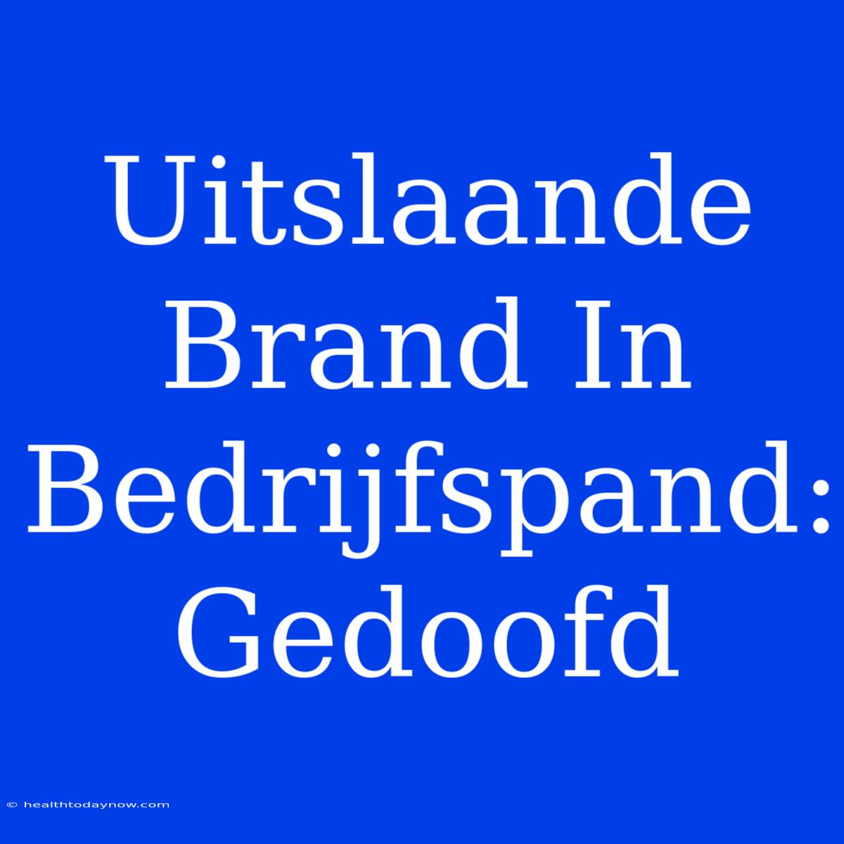 Uitslaande Brand In Bedrijfspand: Gedoofd 