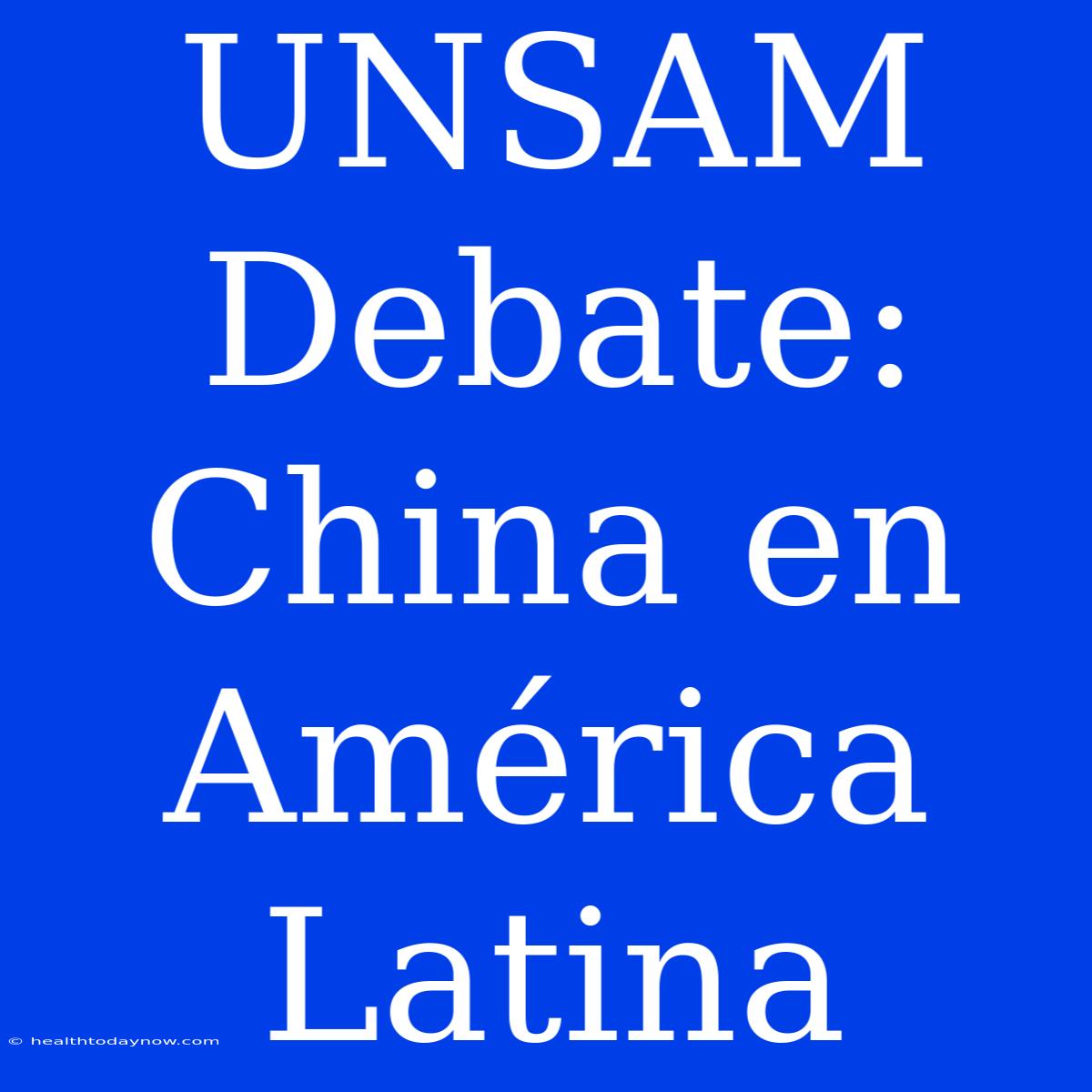 UNSAM Debate: China En América Latina