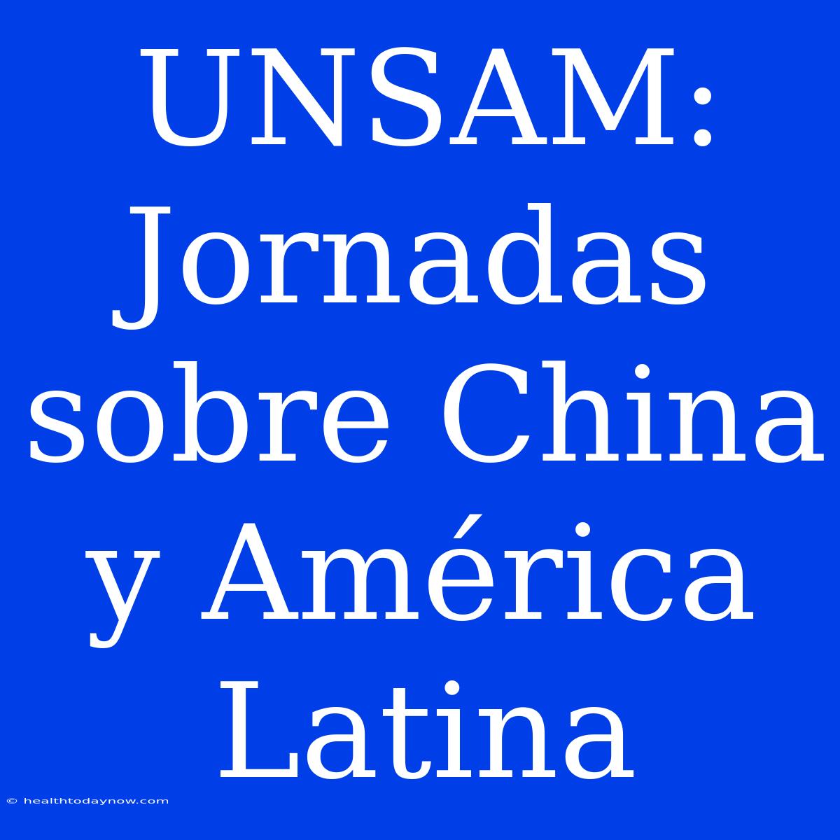 UNSAM: Jornadas Sobre China Y América Latina