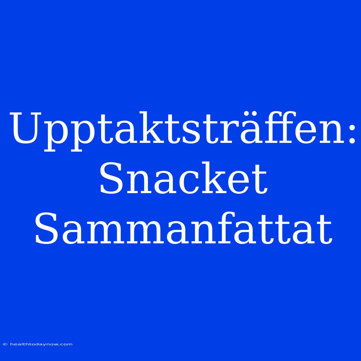 Upptaktsträffen: Snacket Sammanfattat