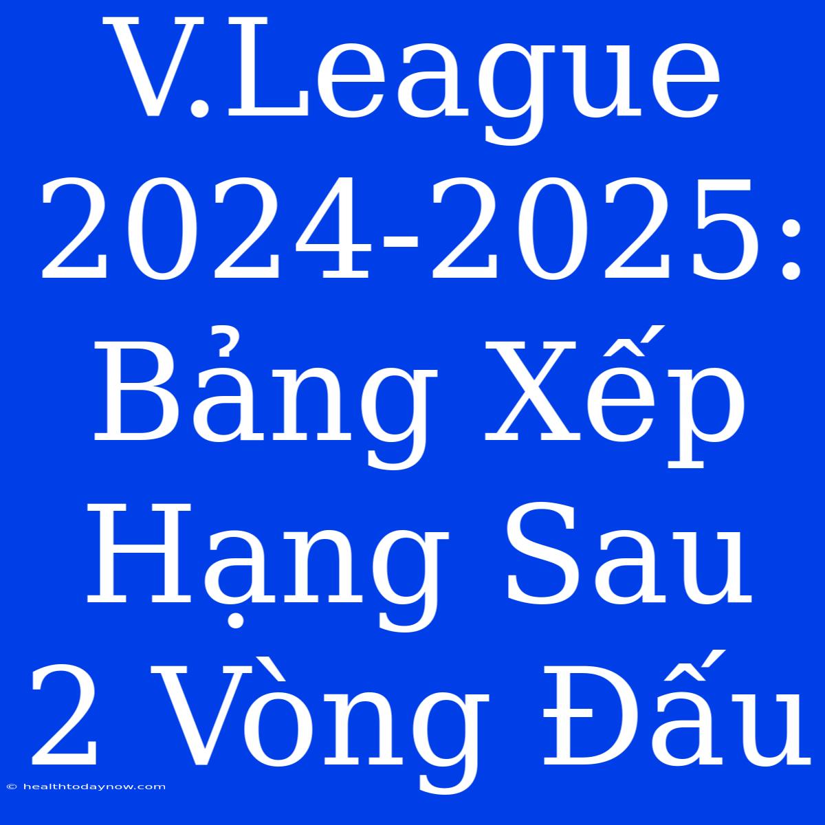 V.League 2024-2025: Bảng Xếp Hạng Sau 2 Vòng Đấu