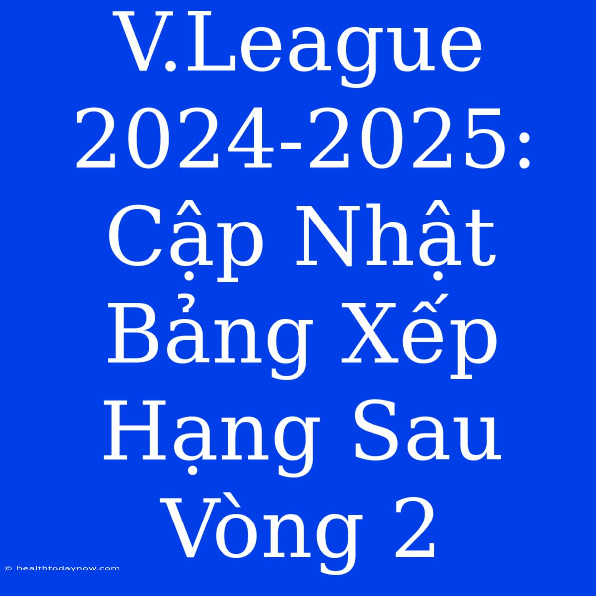 V.League 2024-2025: Cập Nhật Bảng Xếp Hạng Sau Vòng 2