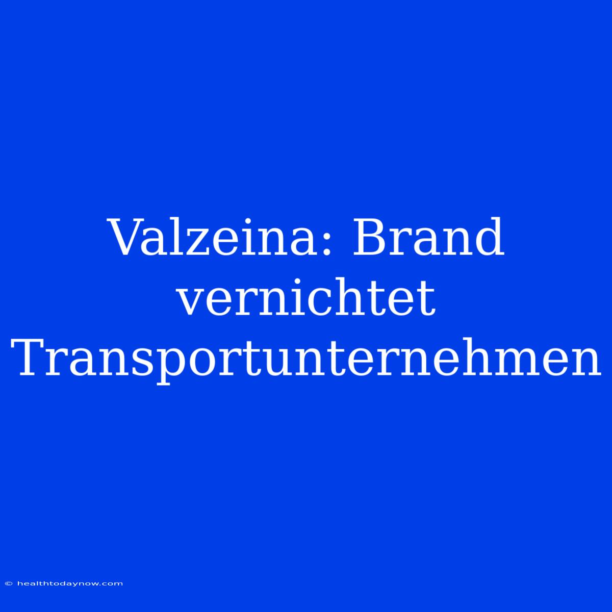 Valzeina: Brand Vernichtet Transportunternehmen