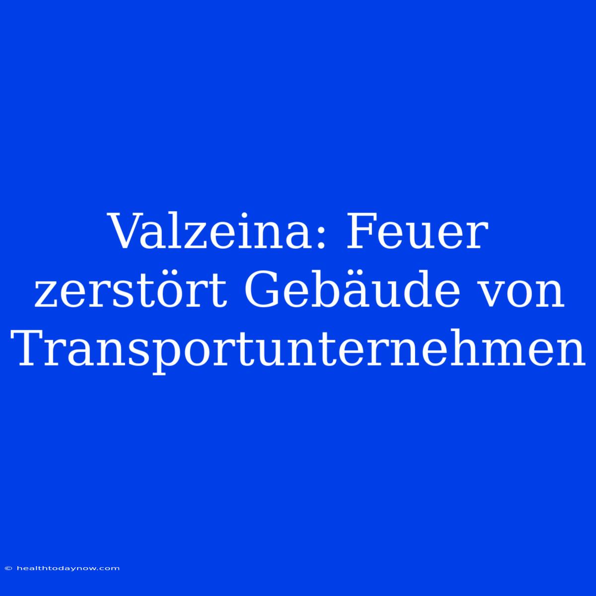 Valzeina: Feuer Zerstört Gebäude Von Transportunternehmen