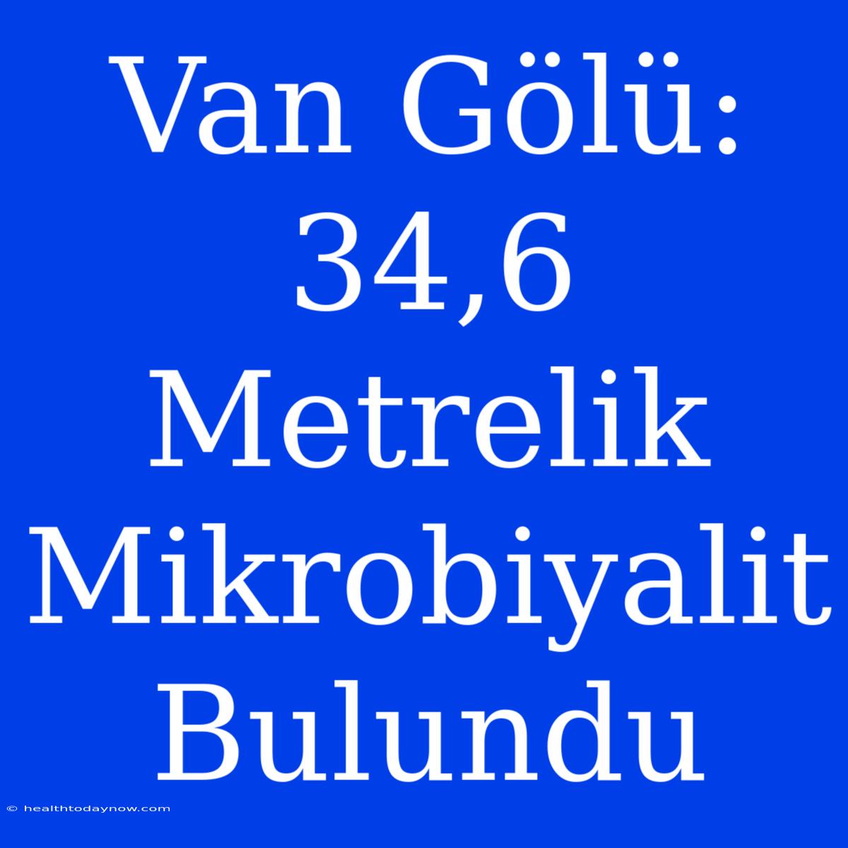 Van Gölü: 34,6 Metrelik Mikrobiyalit Bulundu