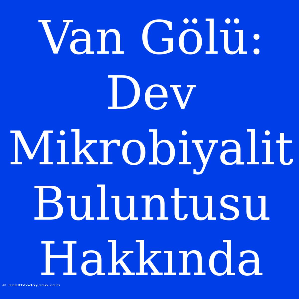 Van Gölü: Dev Mikrobiyalit Buluntusu Hakkında