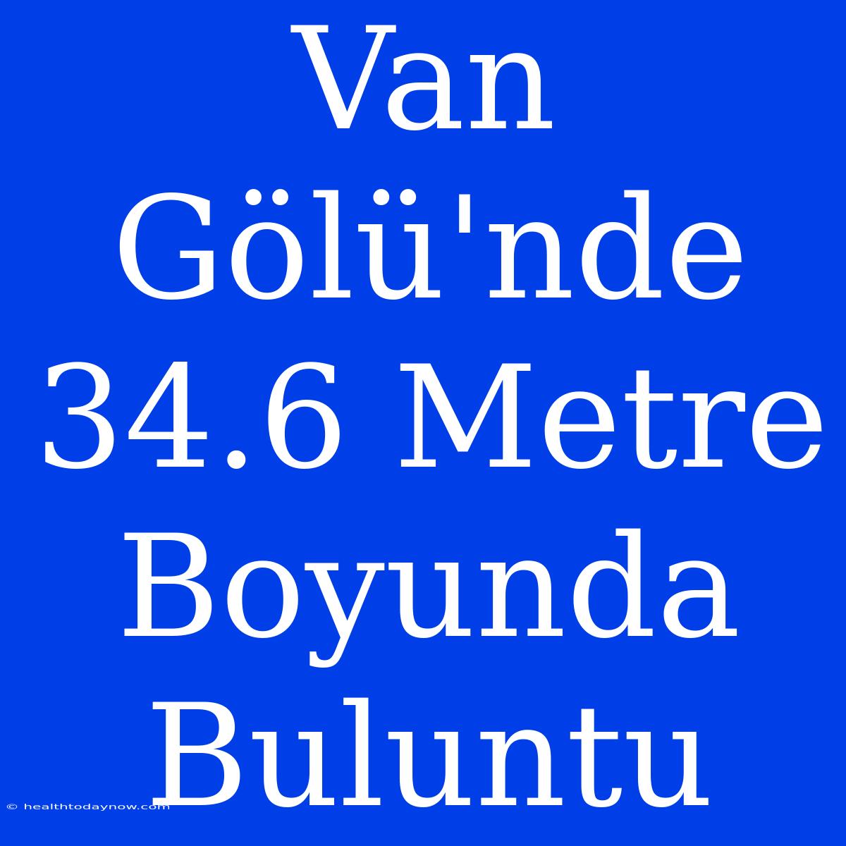 Van Gölü'nde 34.6 Metre Boyunda Buluntu