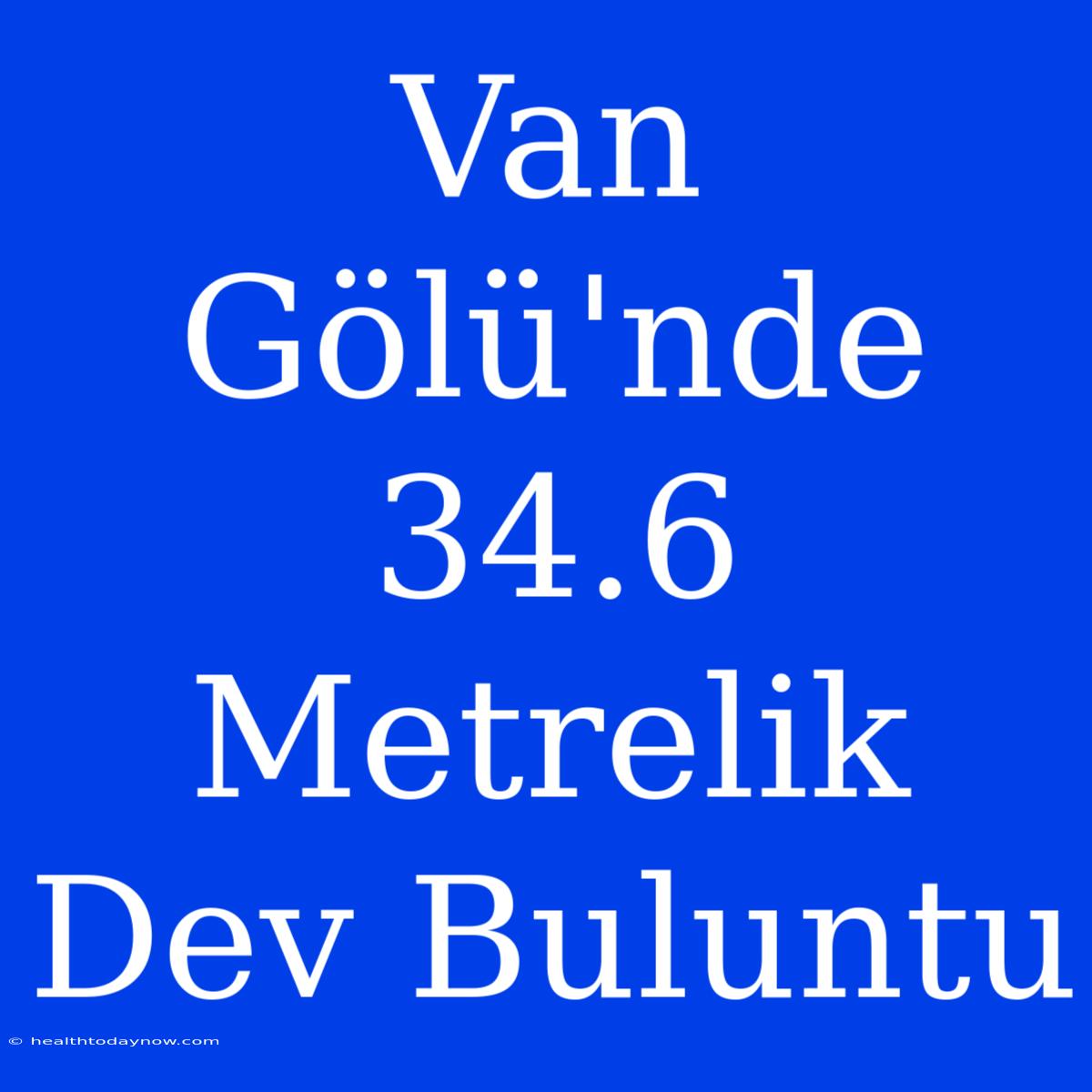 Van Gölü'nde 34.6 Metrelik Dev Buluntu