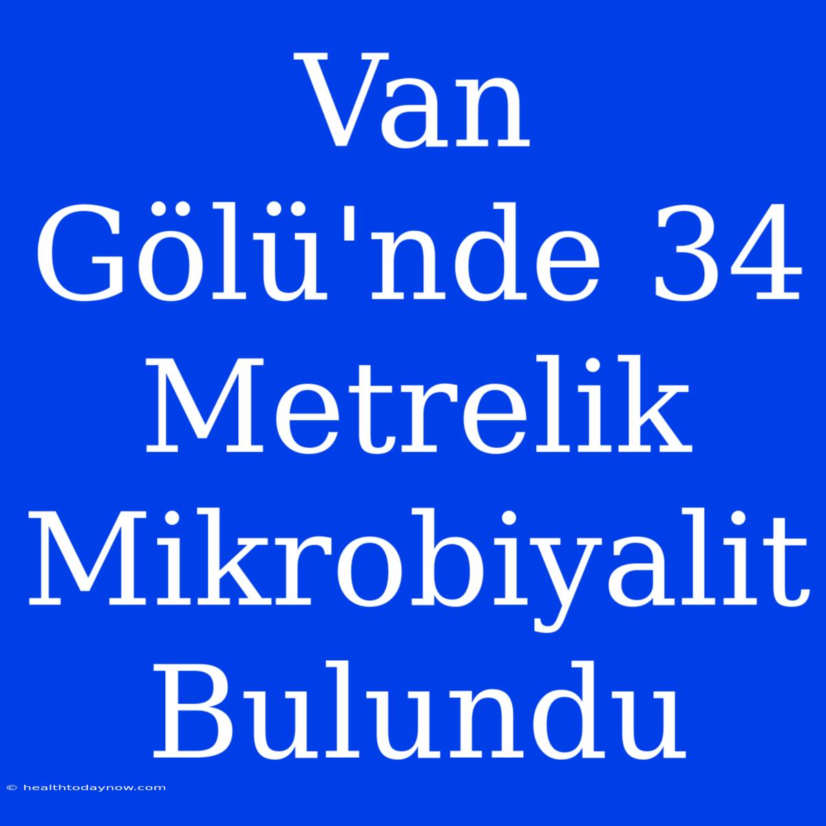 Van Gölü'nde 34 Metrelik Mikrobiyalit Bulundu