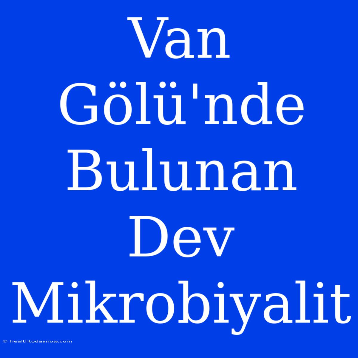 Van Gölü'nde Bulunan Dev Mikrobiyalit