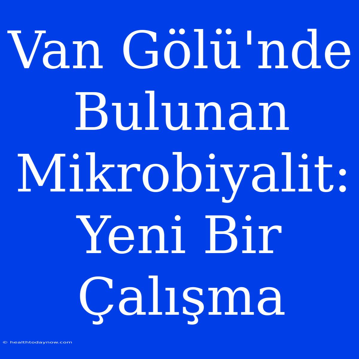 Van Gölü'nde Bulunan Mikrobiyalit: Yeni Bir Çalışma