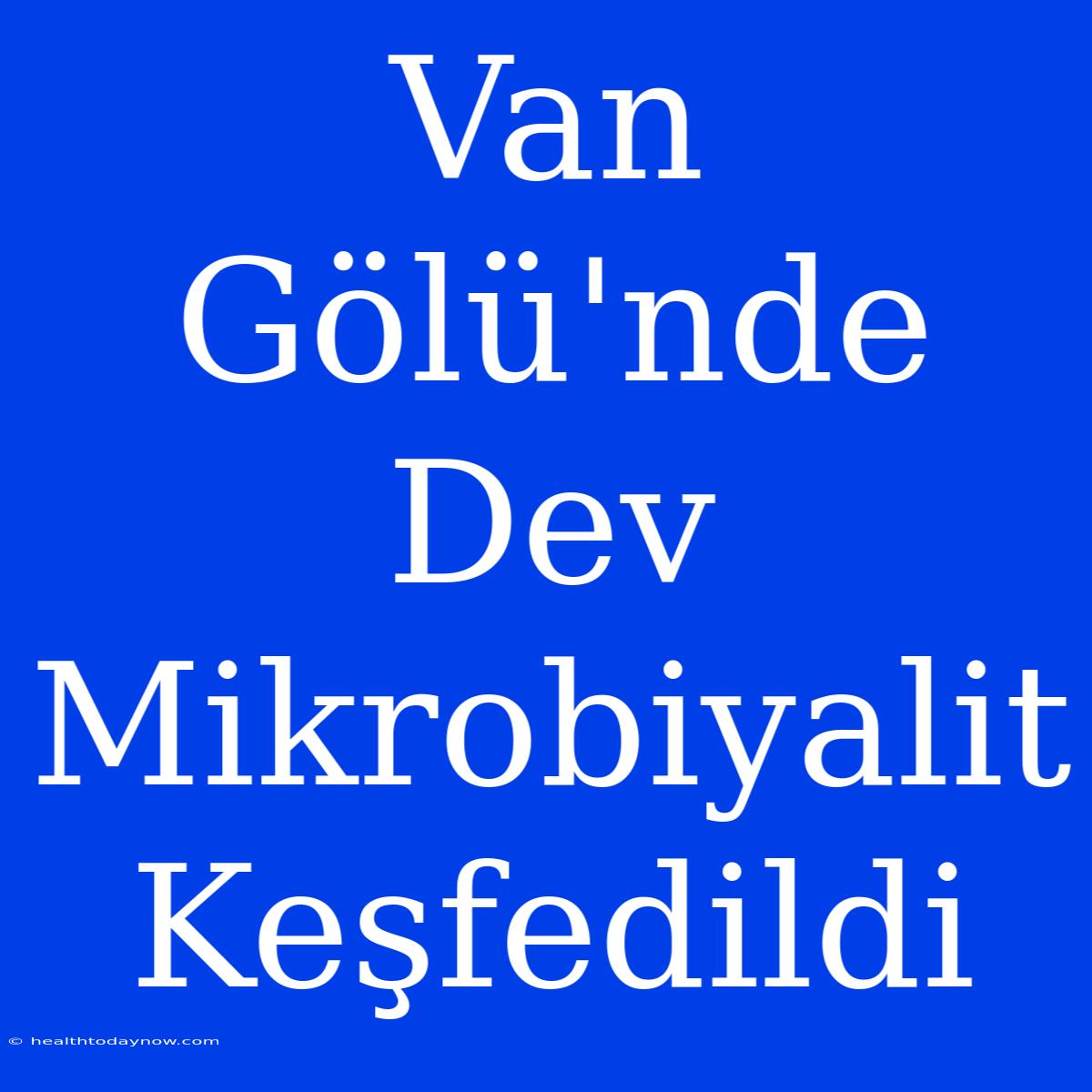 Van Gölü'nde Dev Mikrobiyalit Keşfedildi