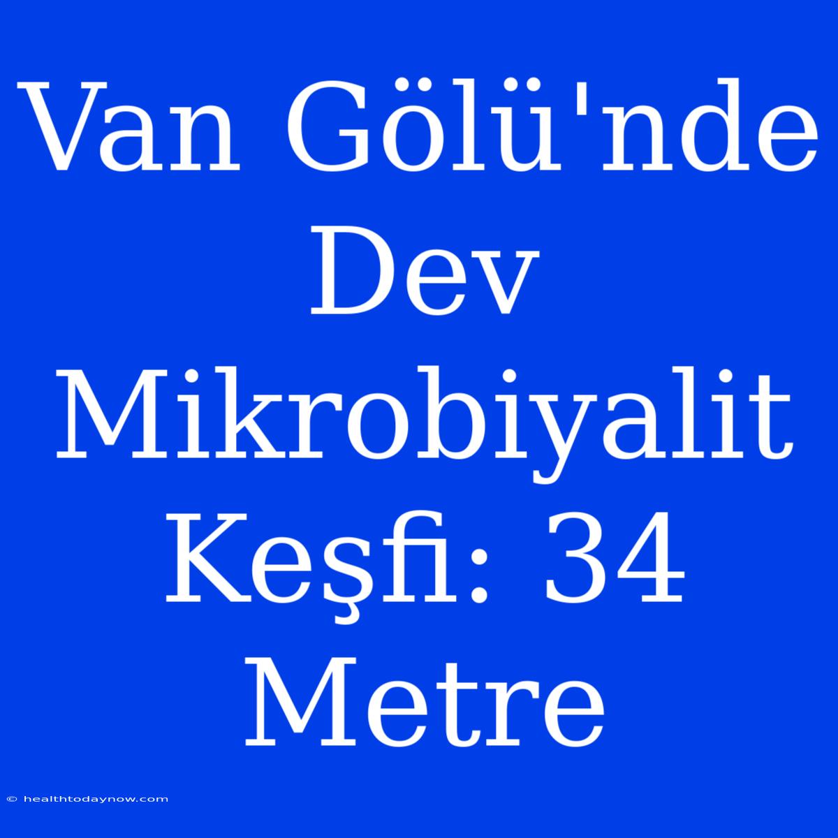 Van Gölü'nde Dev Mikrobiyalit Keşfi: 34 Metre