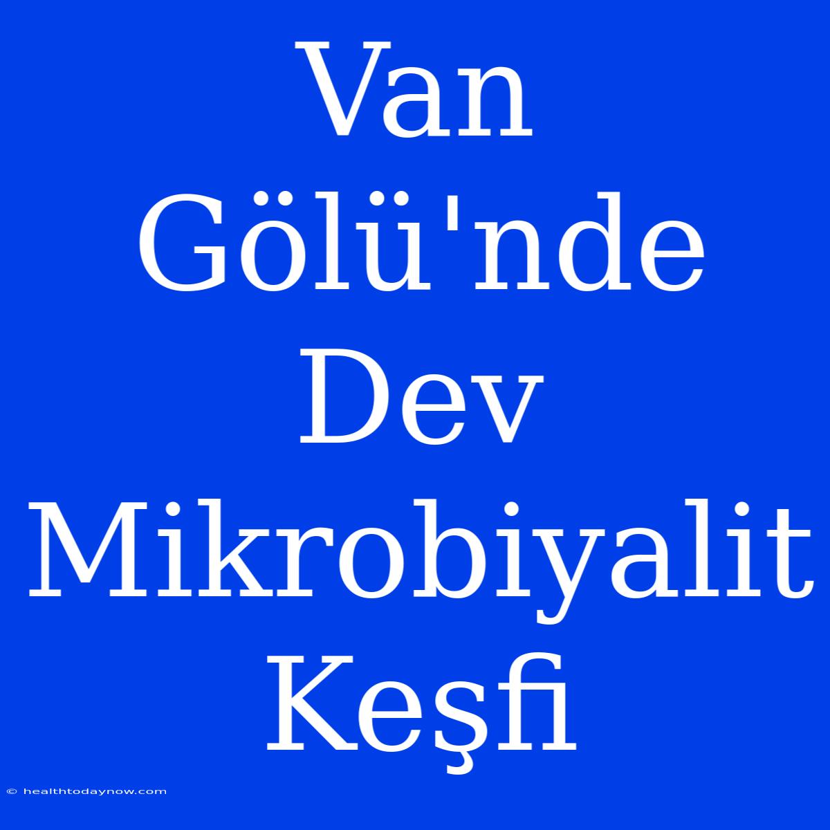 Van Gölü'nde Dev Mikrobiyalit Keşfi