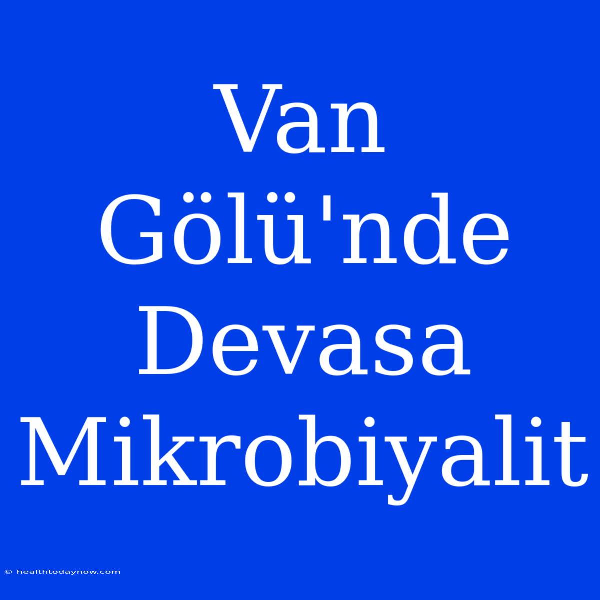 Van Gölü'nde Devasa Mikrobiyalit