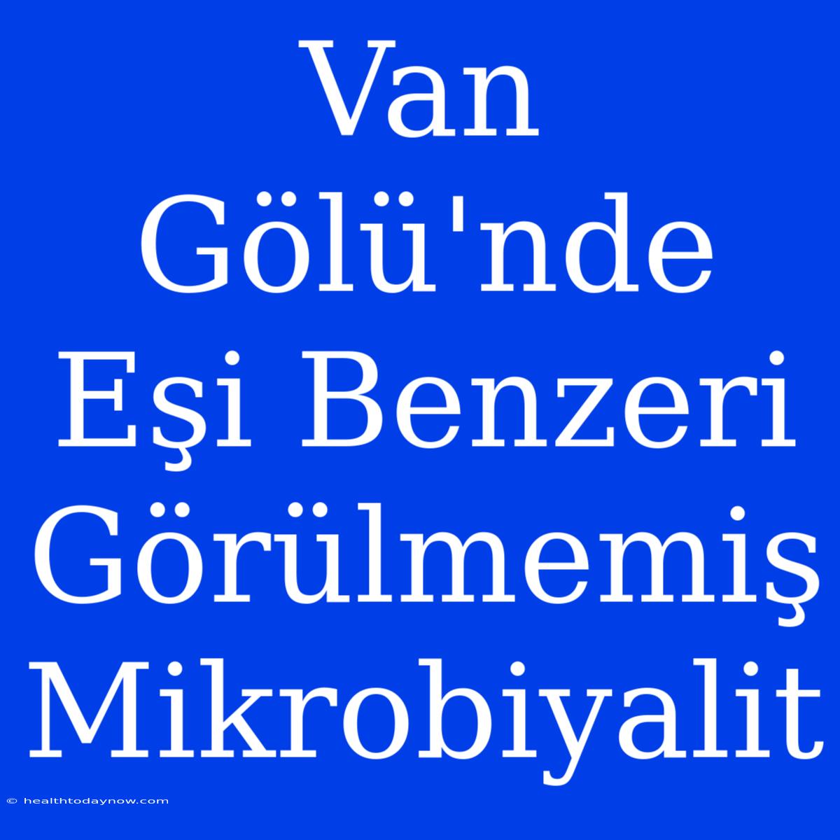 Van Gölü'nde Eşi Benzeri Görülmemiş Mikrobiyalit