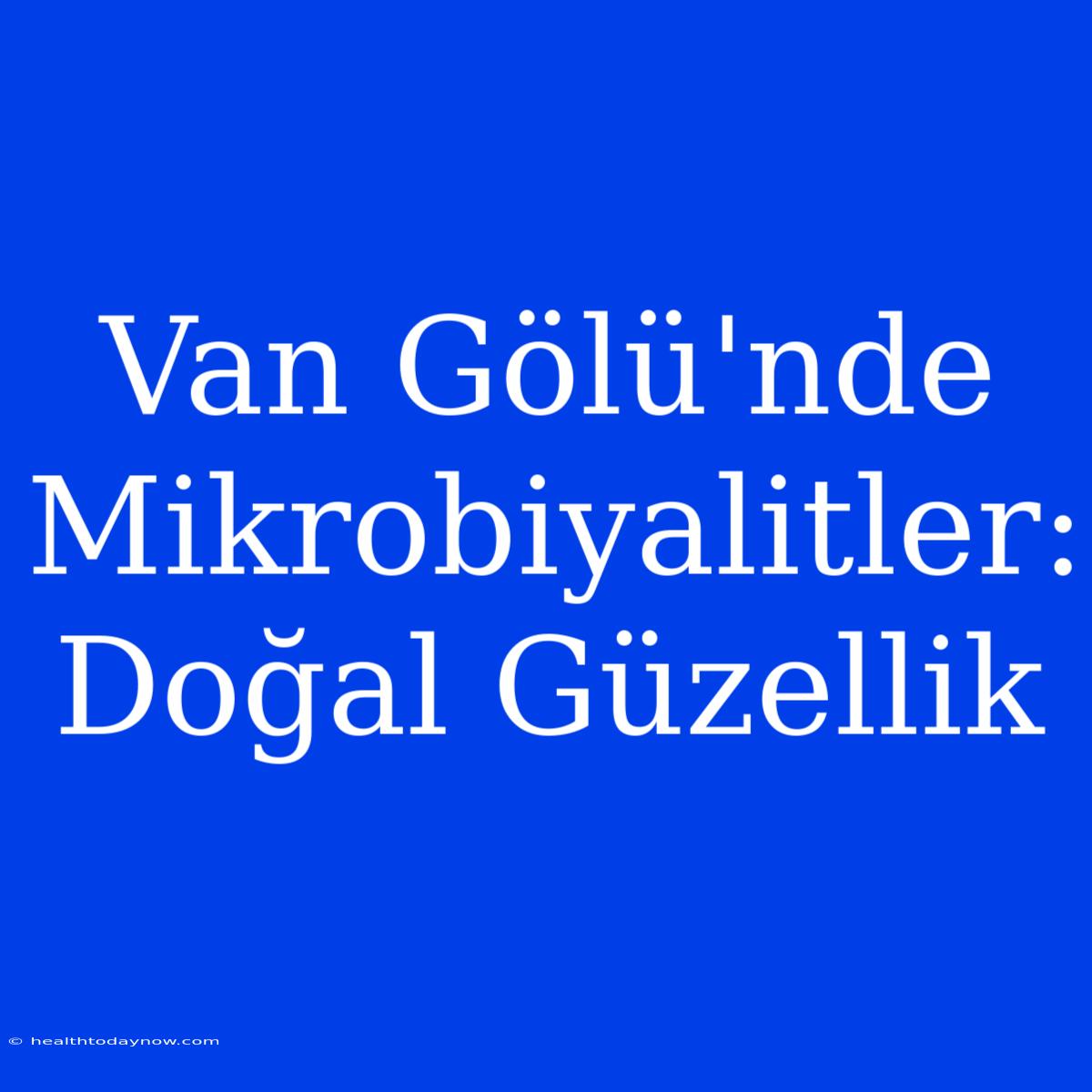 Van Gölü'nde Mikrobiyalitler: Doğal Güzellik