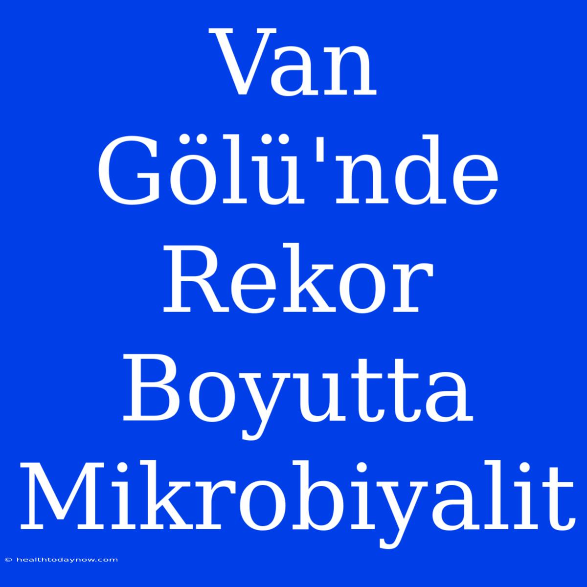 Van Gölü'nde Rekor Boyutta Mikrobiyalit