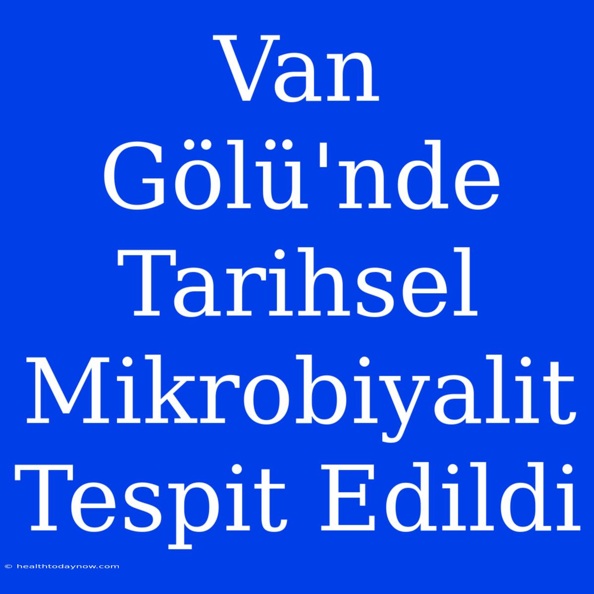 Van Gölü'nde Tarihsel Mikrobiyalit Tespit Edildi