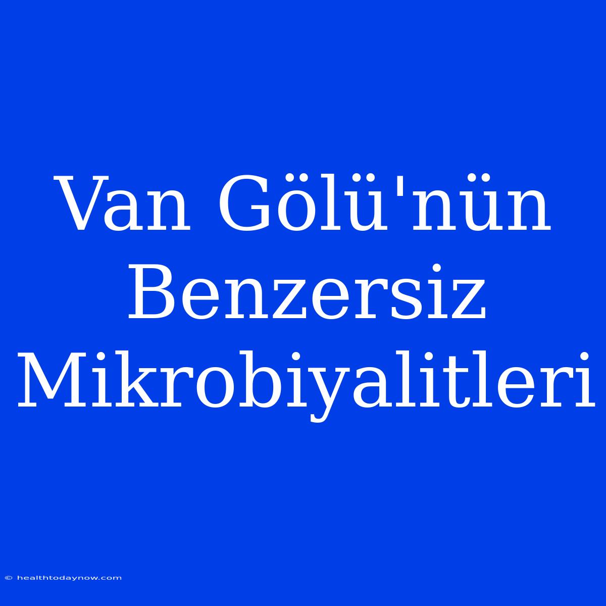 Van Gölü'nün Benzersiz Mikrobiyalitleri