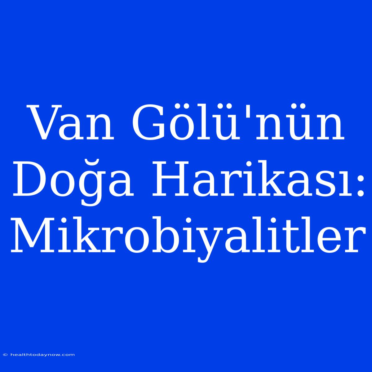 Van Gölü'nün Doğa Harikası: Mikrobiyalitler