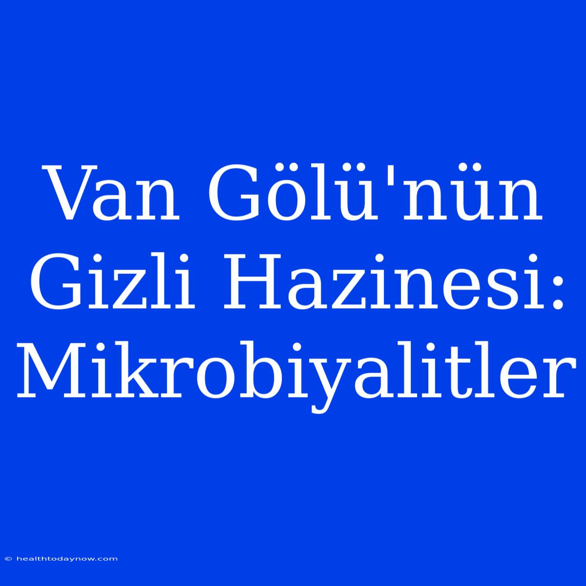 Van Gölü'nün Gizli Hazinesi: Mikrobiyalitler 