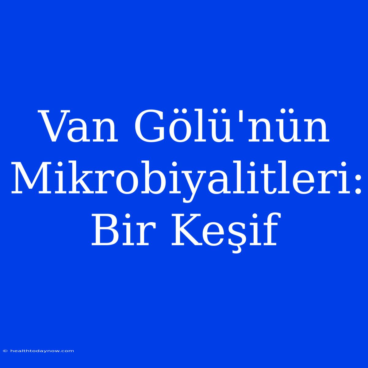 Van Gölü'nün Mikrobiyalitleri: Bir Keşif