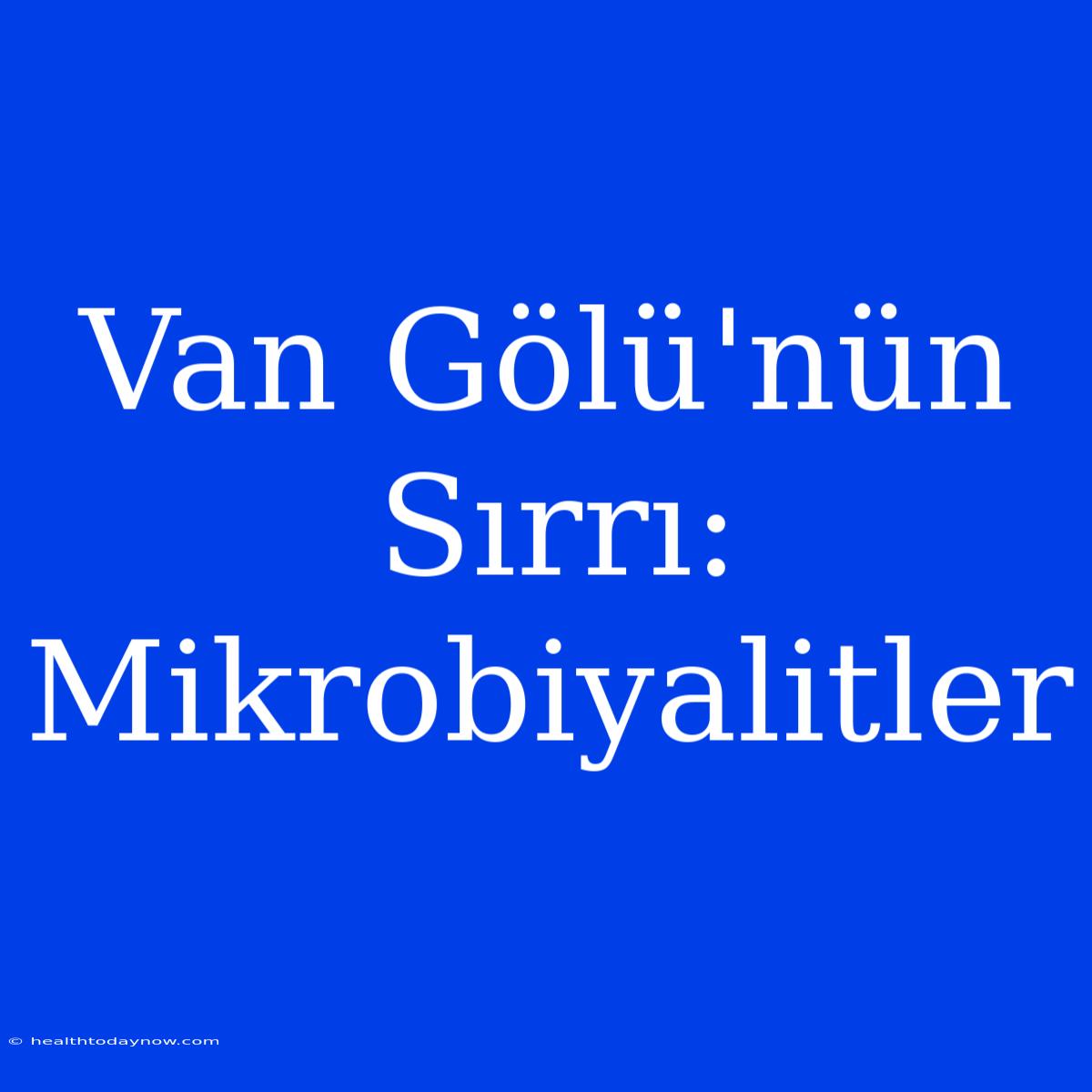 Van Gölü'nün Sırrı: Mikrobiyalitler