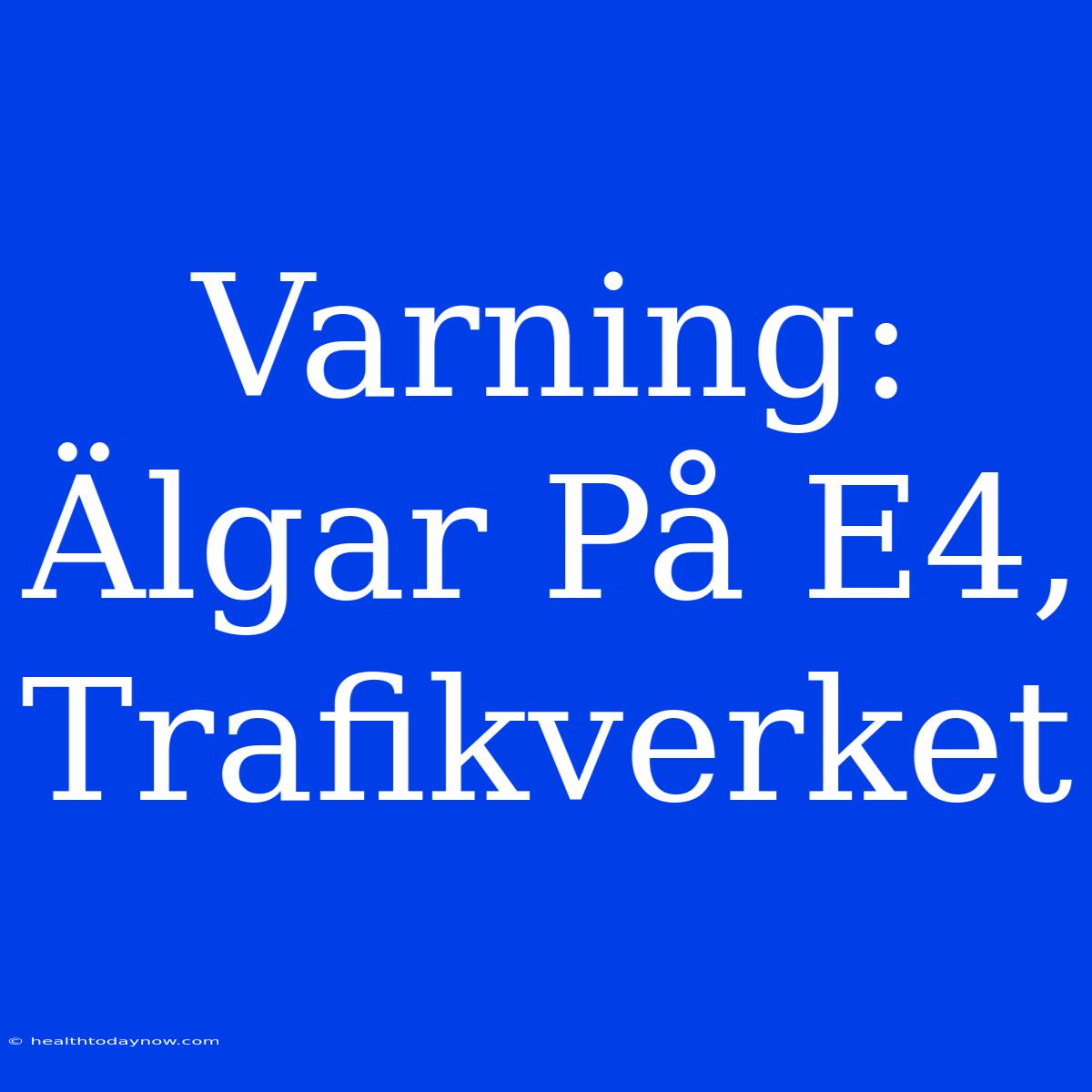 Varning: Älgar På E4, Trafikverket