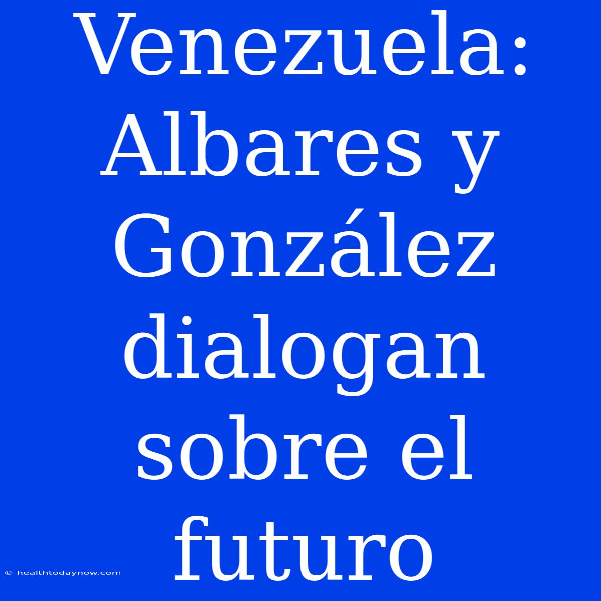 Venezuela: Albares Y González Dialogan Sobre El Futuro