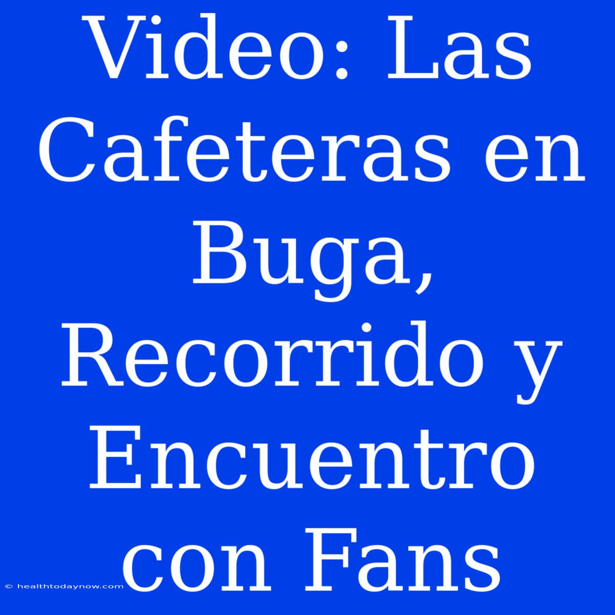 Video: Las Cafeteras En Buga, Recorrido Y Encuentro Con Fans