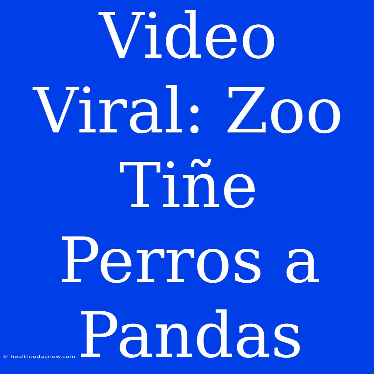 Video Viral: Zoo Tiñe Perros A Pandas