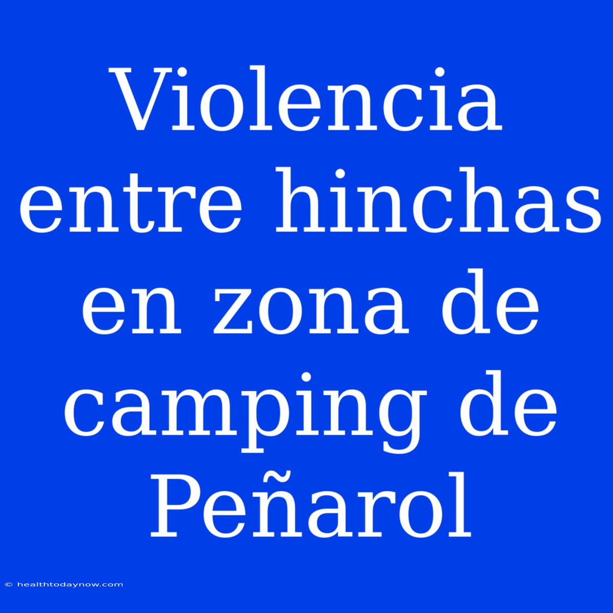 Violencia Entre Hinchas En Zona De Camping De Peñarol