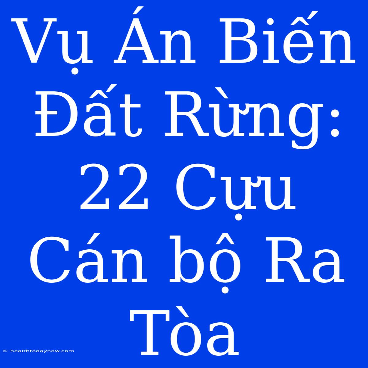 Vụ Án Biến Đất Rừng: 22 Cựu Cán Bộ Ra Tòa