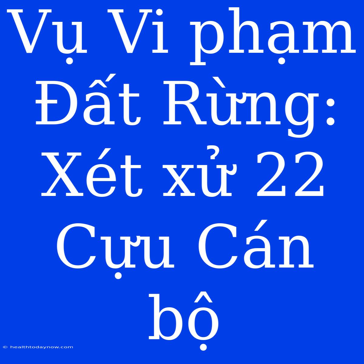 Vụ Vi Phạm Đất Rừng: Xét Xử 22 Cựu Cán Bộ