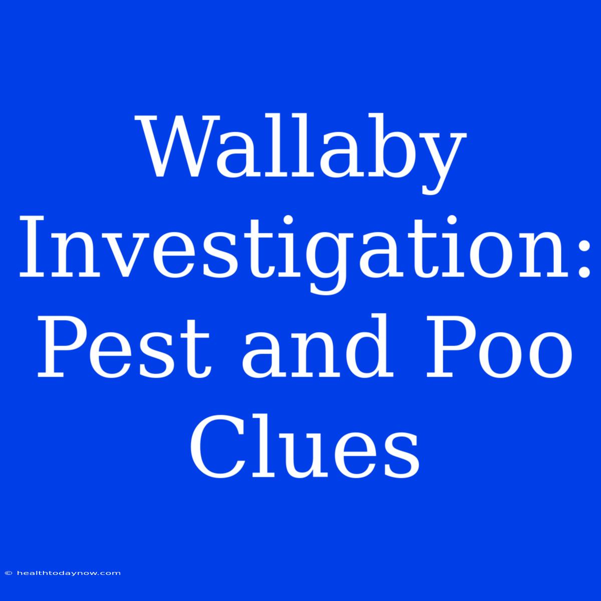 Wallaby Investigation: Pest And Poo Clues