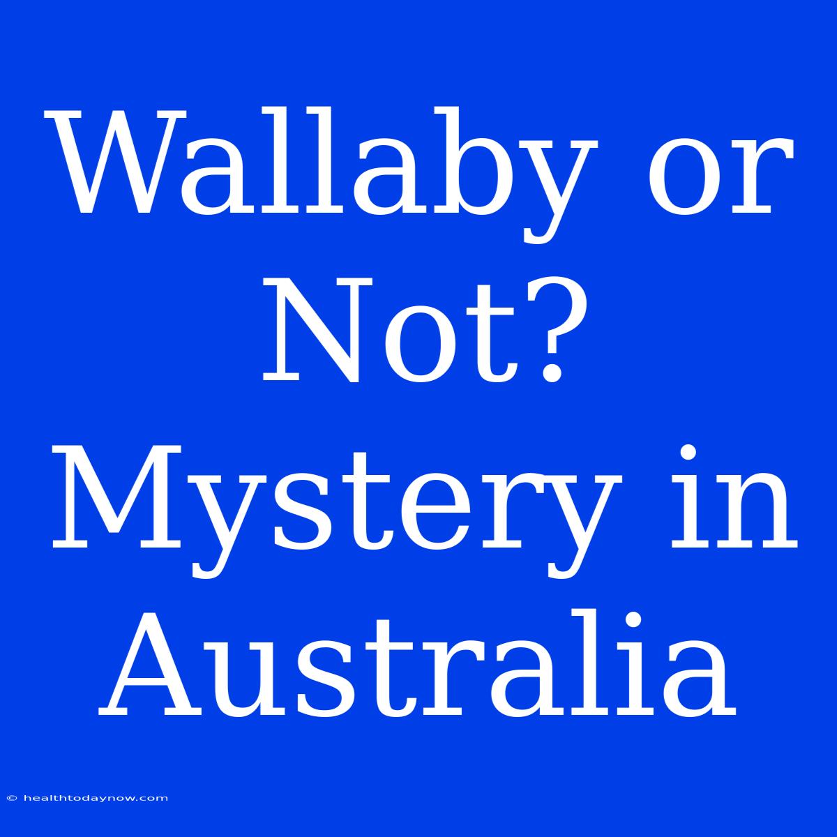 Wallaby Or Not? Mystery In Australia